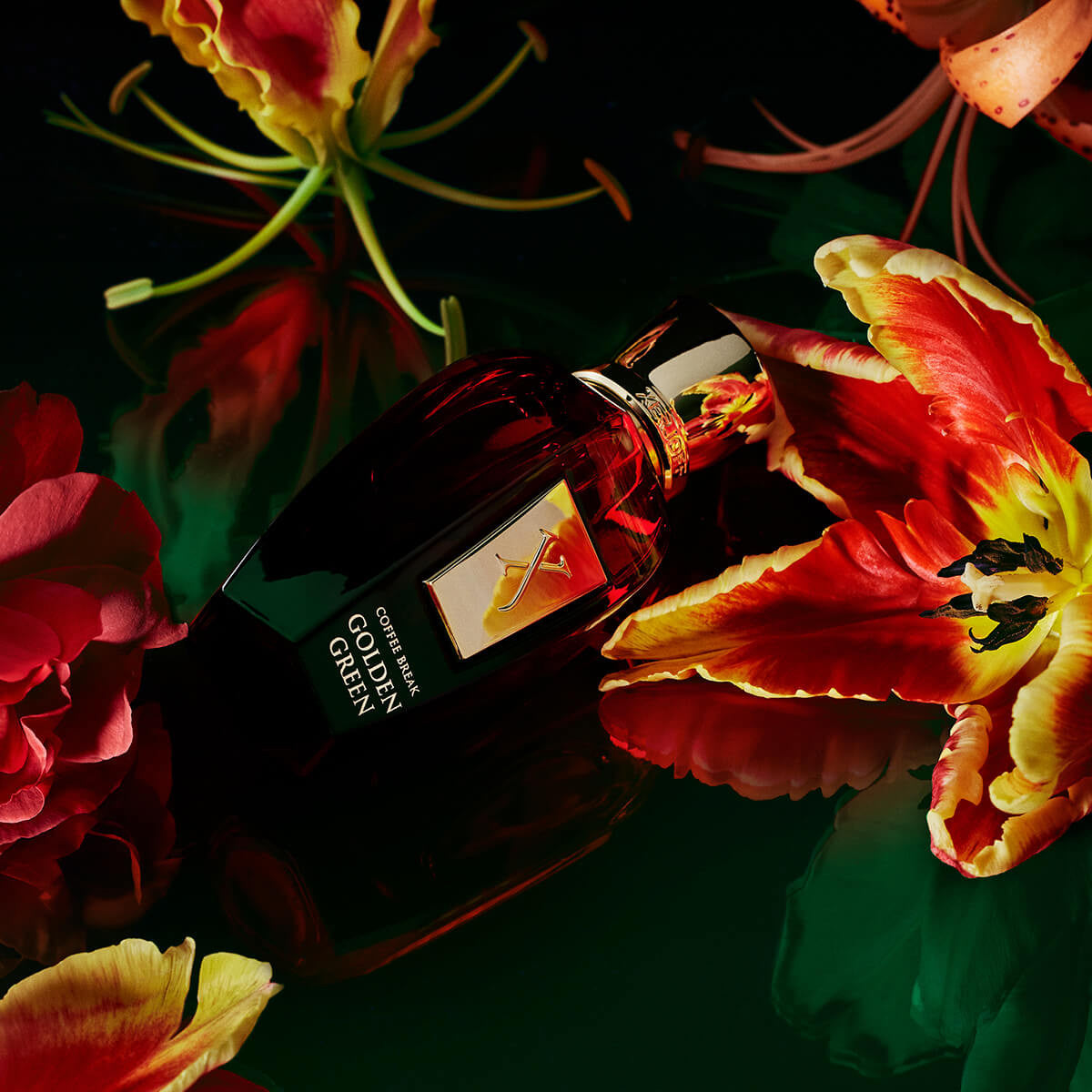 Xerjoff Coffee Break GOLDEN GREEN parfum