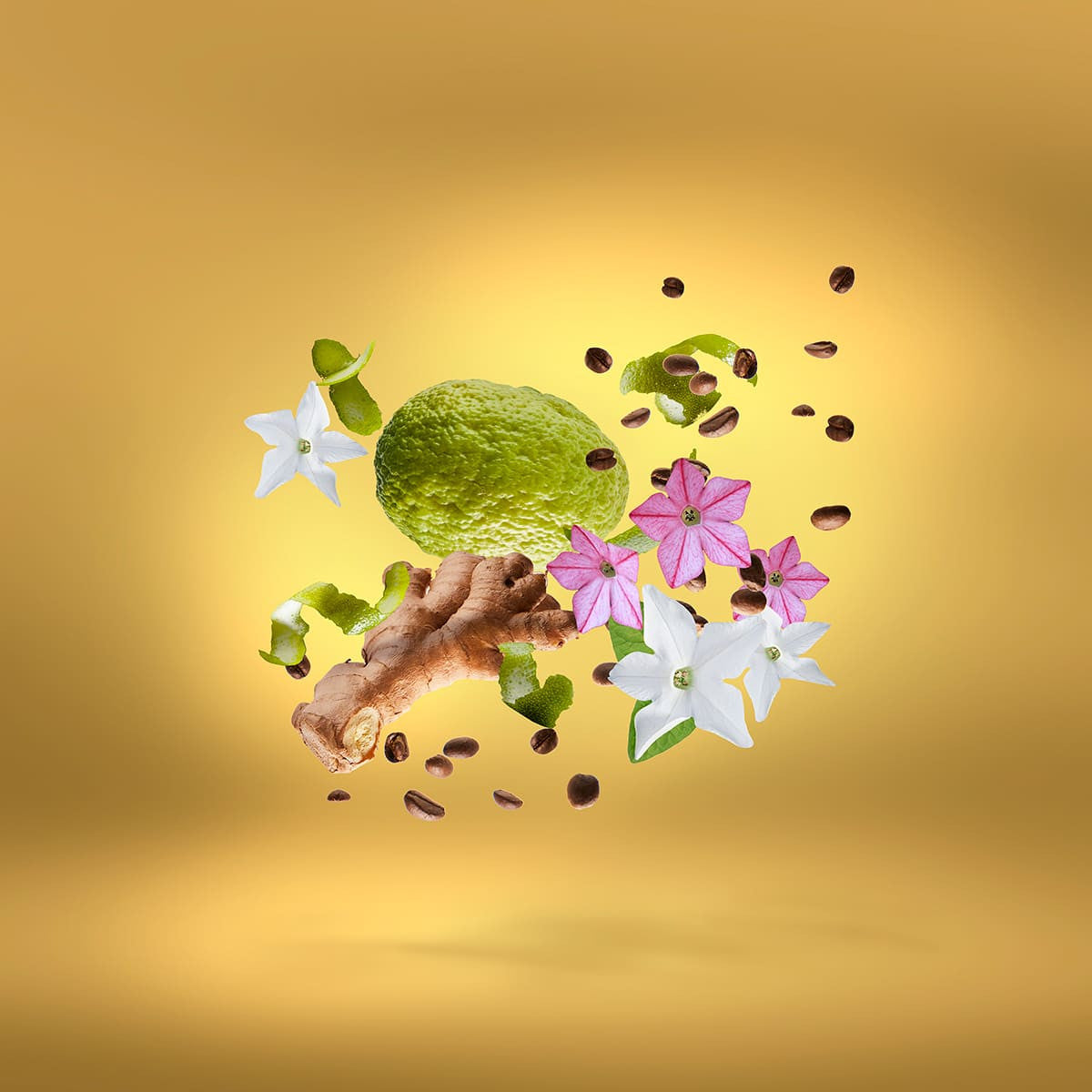 Xerjoff Shooting Stars UDEN OVERDOSE parfum