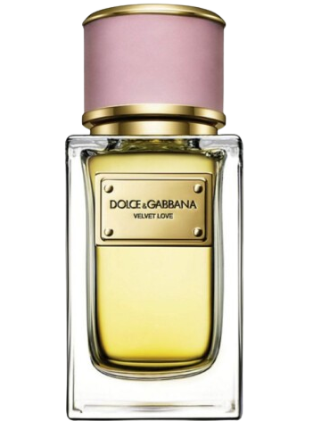 Velvet Ginestra by Dolce Gabbana Women 5.0 oz EDP outlet Spray New $450