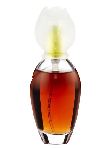 Narcisse de chloe parfum Clearance