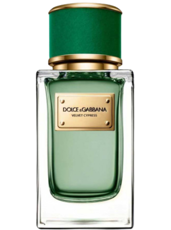 Dolce & Gabbana VELVET CYPRESS eau de parfum
