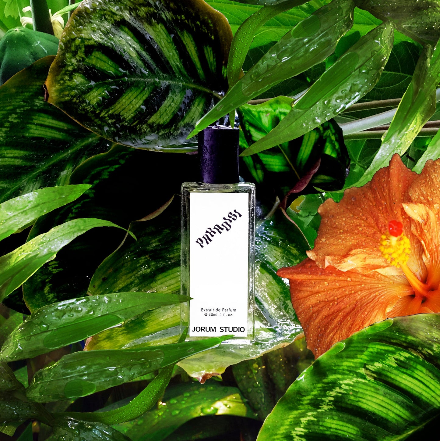 Jorum Studio PARADISI eau de parfum