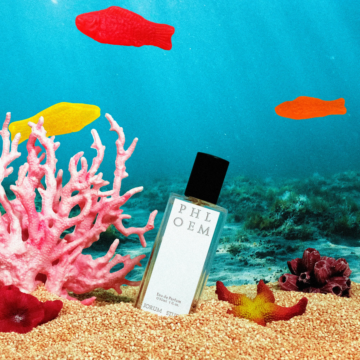 Jorum Studio PHLOEM eau de parfum