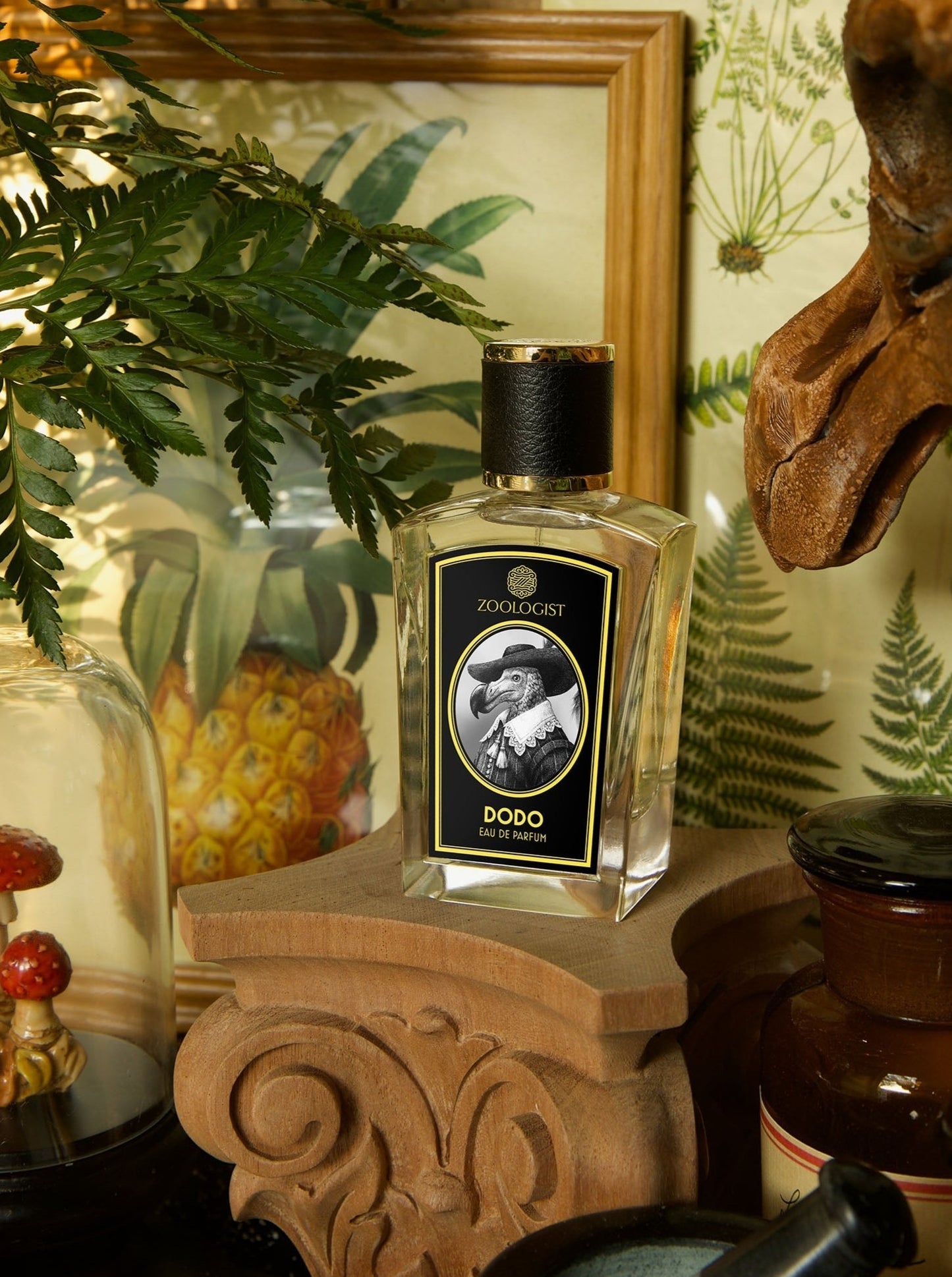 Zoologist DODO eau de parfum