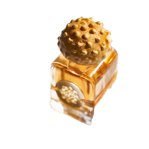 MendittoRosa Talismans SOGNO REALE extrait de parfum