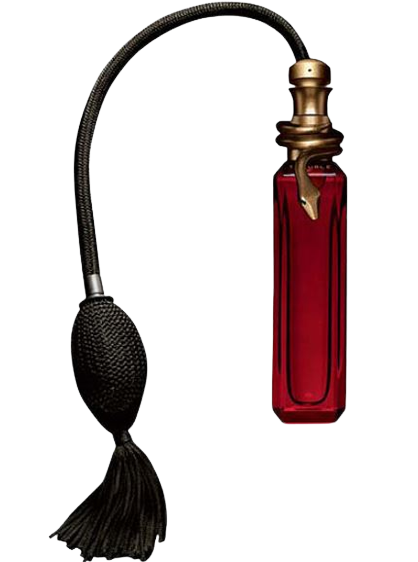 Boucheron TROUBLE parfum