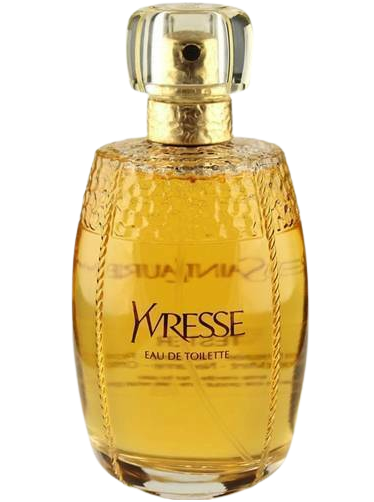 Yves saint laurent yvresse champagne outlet