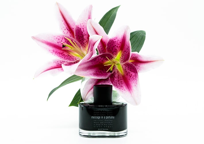 Mark Buxton Black Collection MESSAGE IN A PERFUME eau de parfum - F Vault