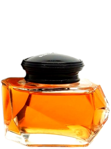 Perfume top sonia rykiel