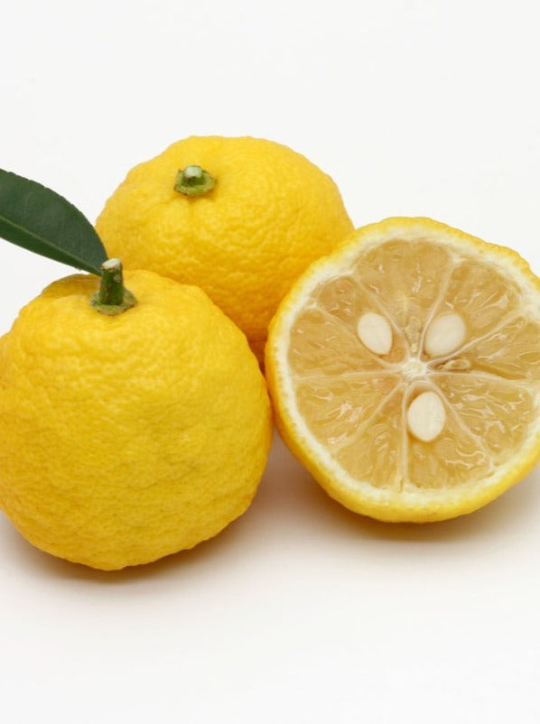 J-Scent YUZU eau de parfum