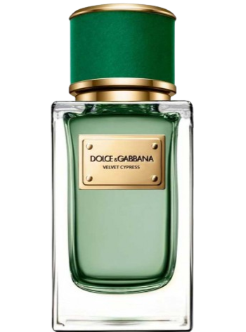 Dolce & Gabbana VELVET CYPRESS eau de parfum