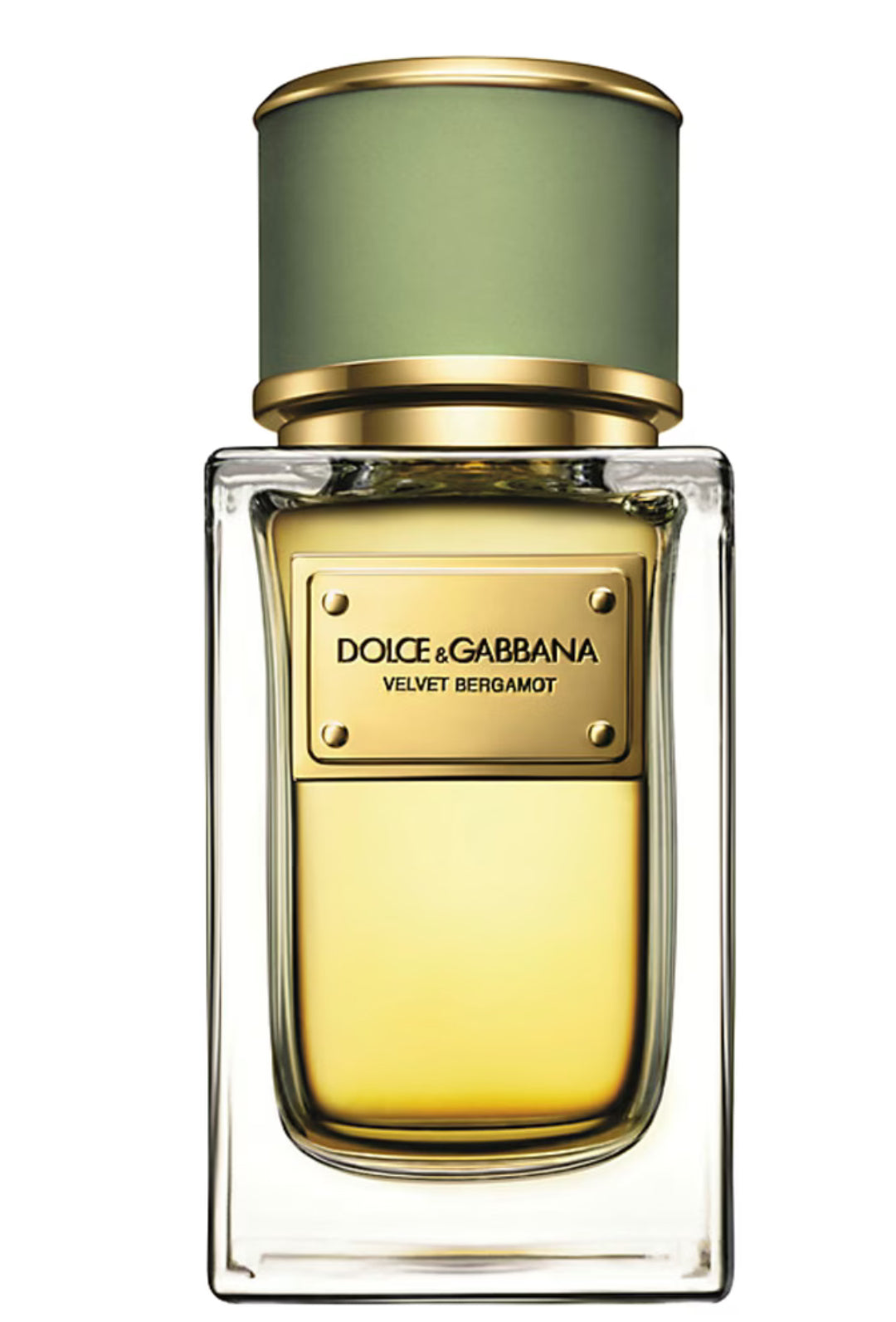 香水(ユニセックス) Dolce & Gabbana Velvet Cypress 50ml Dolce & Gabbana VELVET CYPRESS eau de parfum - Fragrance Vault – F