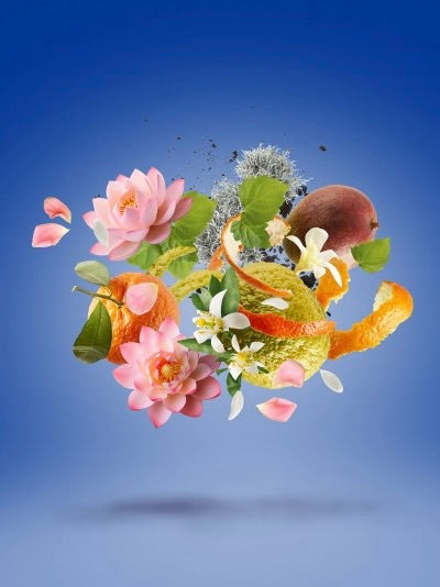 Xerjoff Join The Club TORINO 24 ~ Fragrance Vault – F Vault