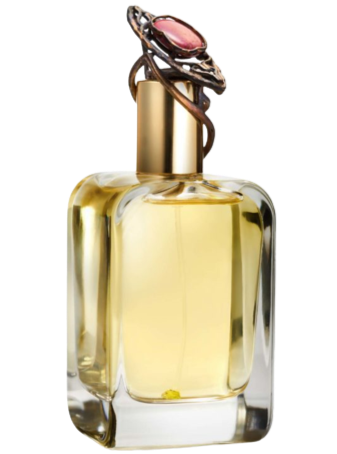 MendittoRosa Talismans Extreme AMYGDALA extrait de parfum - F Vault