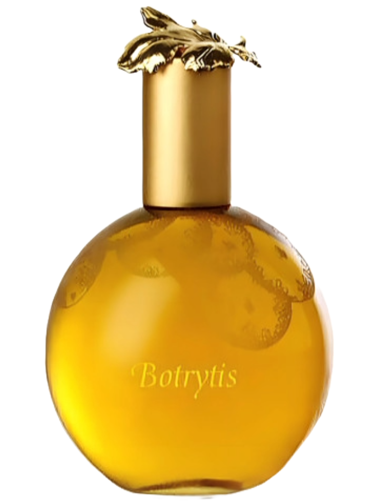 Ginestet BOTRYTIS perfume