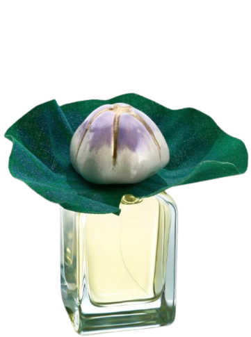 MendittoRosa MAUNA extrait de parfum