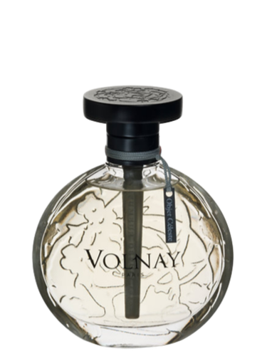Stella McCartney LILY eau de parfum - Fragrance Vault in Lake