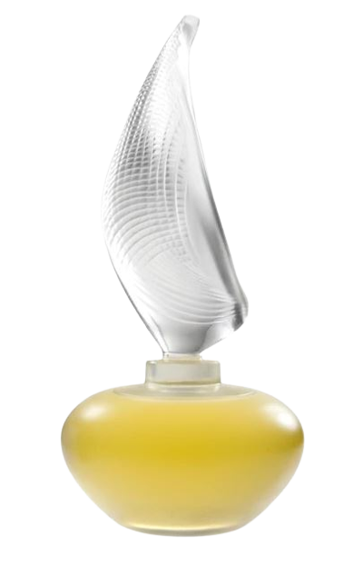 Shalini Parfum SHALINI parfum - F Vault