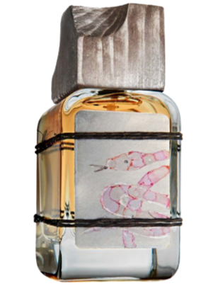 MendittoRosa Versi ORLO eau de parfum - F Vault