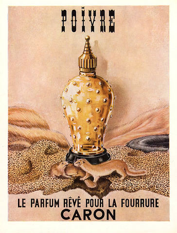 Caron POIVRE parfum - F Vault