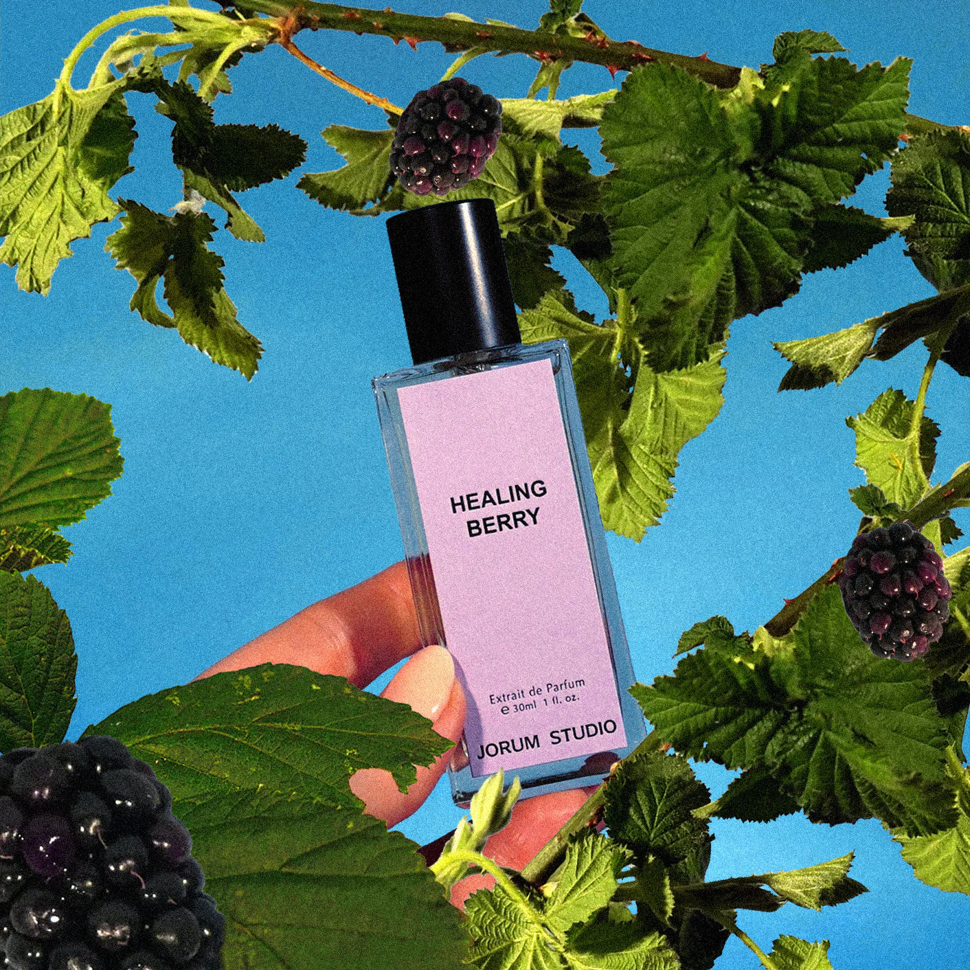 Jorum Studio HEALING BERRY extrait de parfum - F Vault